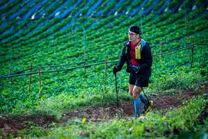 BIB: 
                            <button type="button" onclick="openModal(19160077)" class="btn btn-primary btn-sm float-right btn-popup" data-toggle="modal" data-target=".modal-high-quality">
                        <i class="fas fa-shopping-cart"></i> Add to Cart
                    </button>
                                            <button type="button" onclick="isThisMe(19160077, true)" class="btn btn-success btn-sm float-right btn-popup btn-isme hidden" data-toggle="tooltip" data-placement="bottom" title="นี่คือรูปของคุณใช่ไหม คลิกที่นี่เพื่อเอาเข้าอัลบั้ม">
                        <i class="fas fa-plus"></i> Add to album
                    </button>
                    <button type="button" onclick="isThisMe(19160077, false)" class="btn btn-warning btn-sm float-right btn-popup btn-isnotme hidden">
                        <i class="fas fa-ban"></i> Remove from album
                    </button>